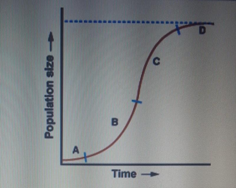 At Which Point In The Graph Has The Population Reached Carrying Capacity?A. Point BB. Point AC. Point