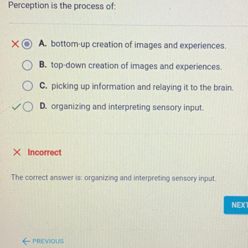 Perception Is The Process Of:O A. Bottom-up Creation Of Images And Experiences.O B. Top-down Creation