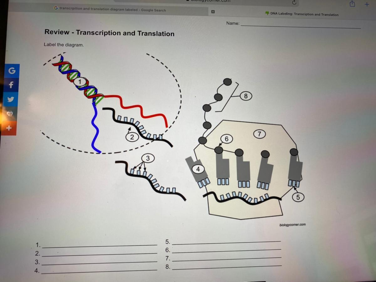 Please Label The Diagram 