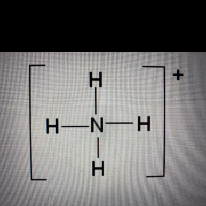 What Molecule Represents This Structure A)NH4B)NH3C)NH4+D)NH3+