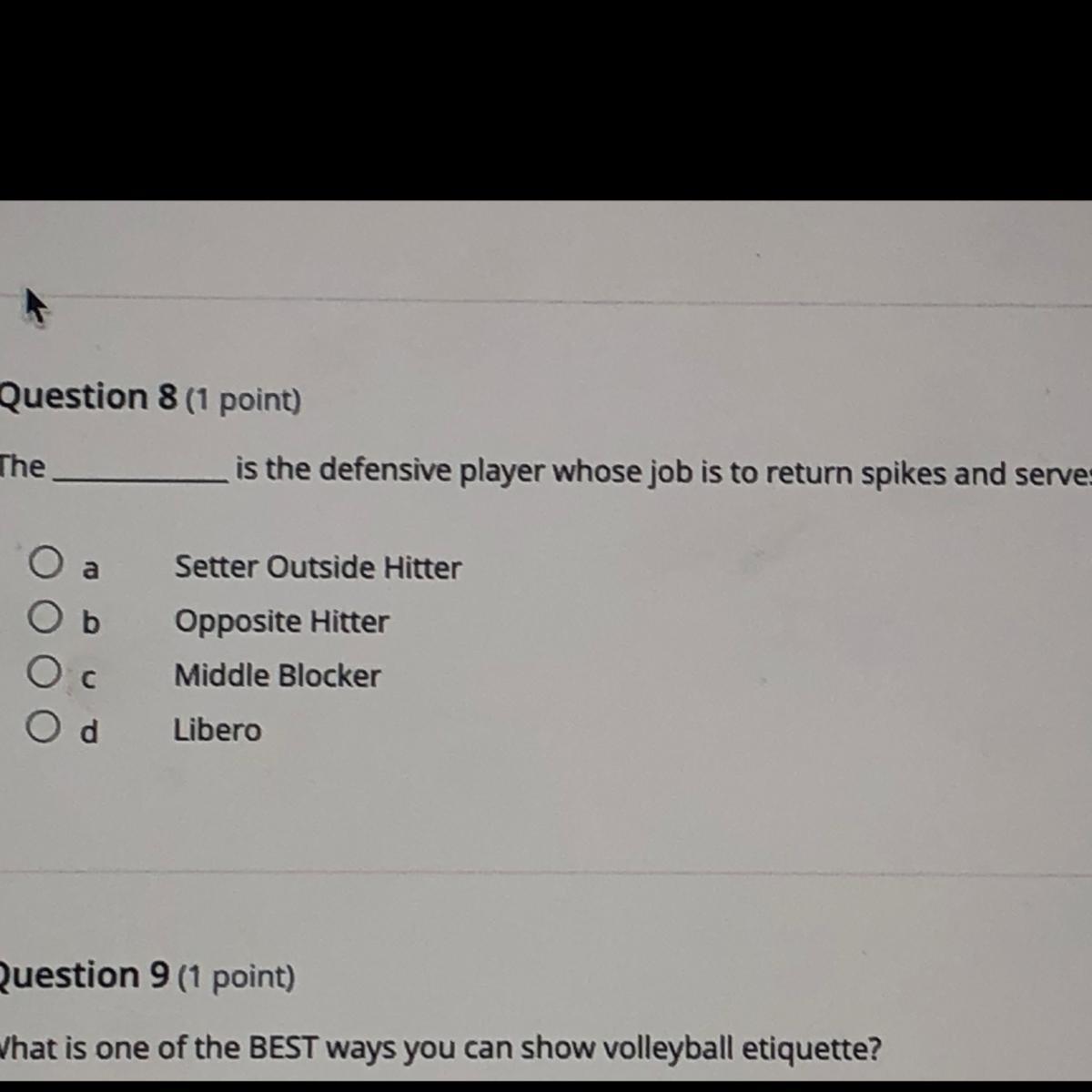 The Answer To This Volleyball P Question 