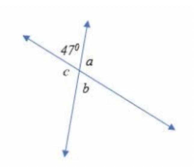 What Is The Measure Of Angle B?