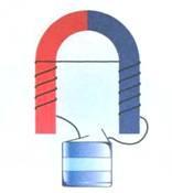 5. Identify The Poles Of The Cell Battery And The Direction Of Current In The Circuit.