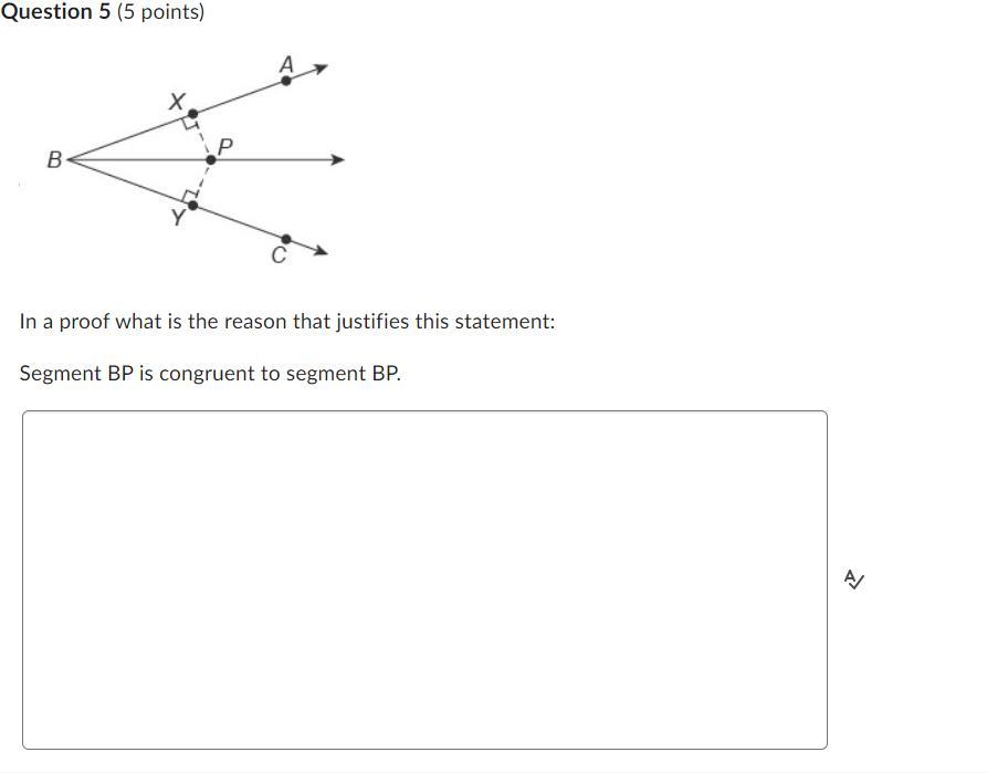 In A Proof What Is The Reason That Justifies This Statement:Segment BP Is Congruent To Segment BP.