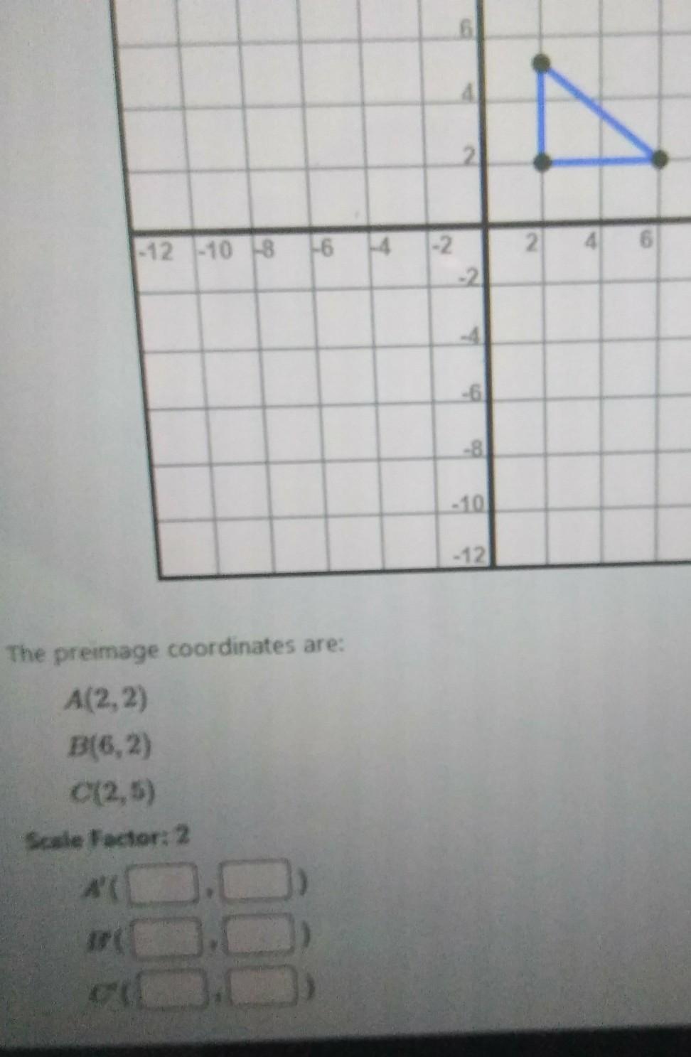 I Need Help With This Please