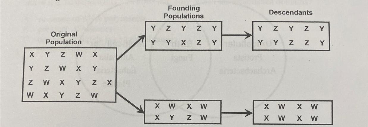 This Diagram If Of A Model Of A Mechanism Of Evolution.Which Phrase Best Describes The Diagram?A. How