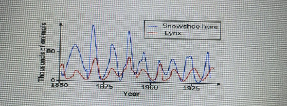 Which One Describes The Two Populations? (multiple Answers May Be Chosen)a. The Hare Population Is R-selected