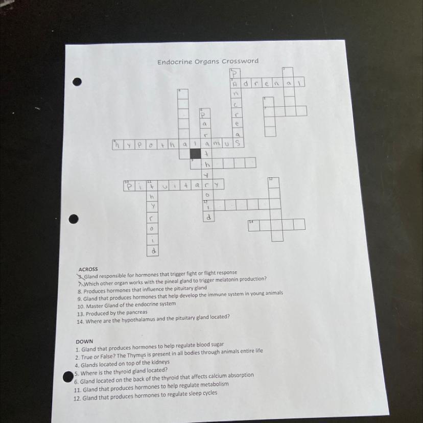 PLS HELP: Endocrine Organs Crossword