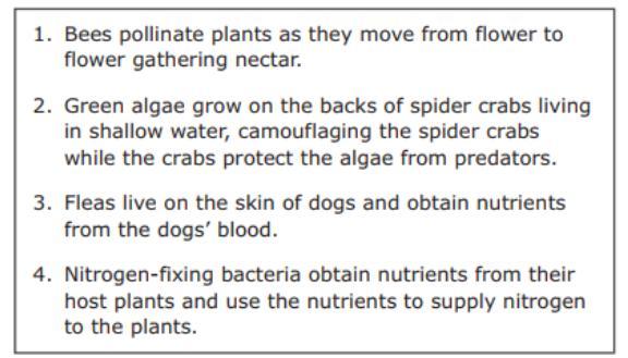 EOC Biology STAAR Prep Four Common Relationships Between Organisms Are Listed In The Box. Which Statements