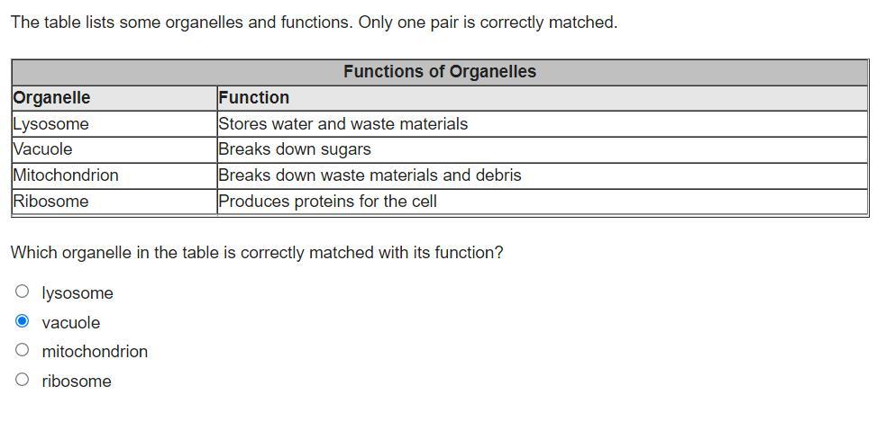 Which Organelle In The Table Is Correctly Matched With Its Function?