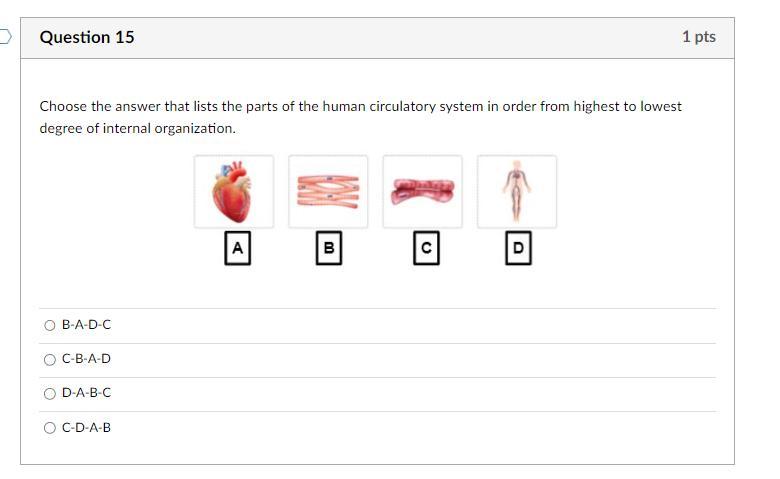 Choose The Answer That Lists The Parts Of The Human Circulatory System In Order From Highest To Lowest