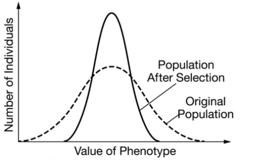 Which Of The Following Describes A Scenario That Would Result In The Phenotypic Change Shown In The Graph?A)