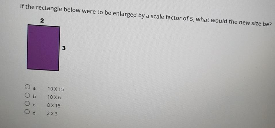 If The Rectangle Below Were To Be Enlarged By A Scale Factor Of 5, What Would The New Size Be? 2 10 X