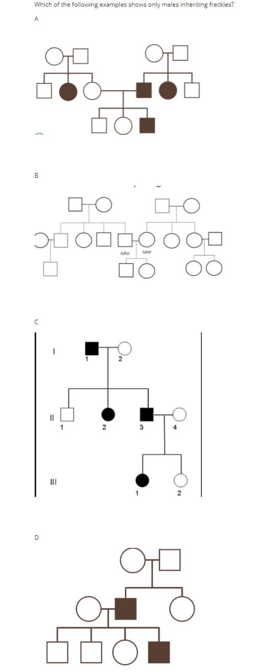 PLEASE HELP 50 POINTS BRAINLIST