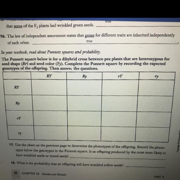 Isyak, Readusers And GrobabilityThe Pasquare Below Is For A Dihybrid Cross Between Pea Plants That Are