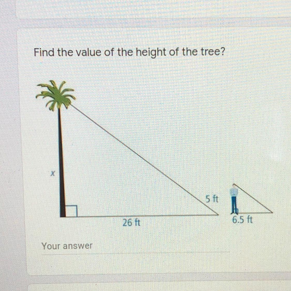 Find The Value Of The Height Of The Tree.