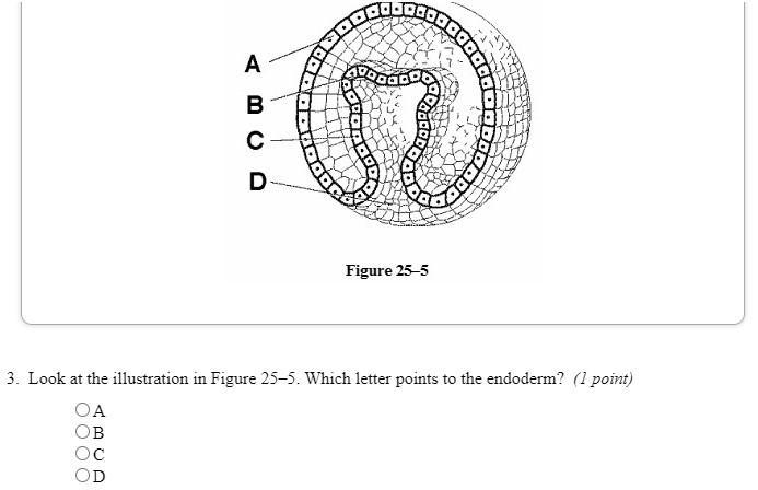 BIOLOGY QUESTIONS PLEASE HELP!!!!!!! Brainliest To Whoever Answers All Of Them