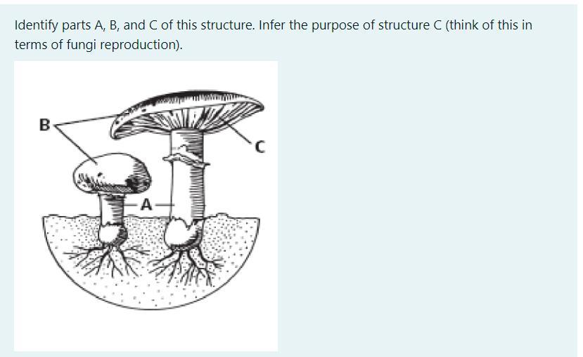 PLS HELP!!!! I NEED THE ANSWER TODAY!!!!