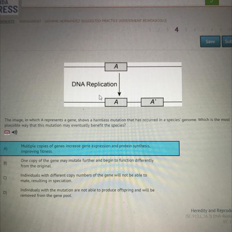 The Image, In Which A Represents A Gene, Shows A Harmless Mutation That Has Occurred In A Species' Genome.