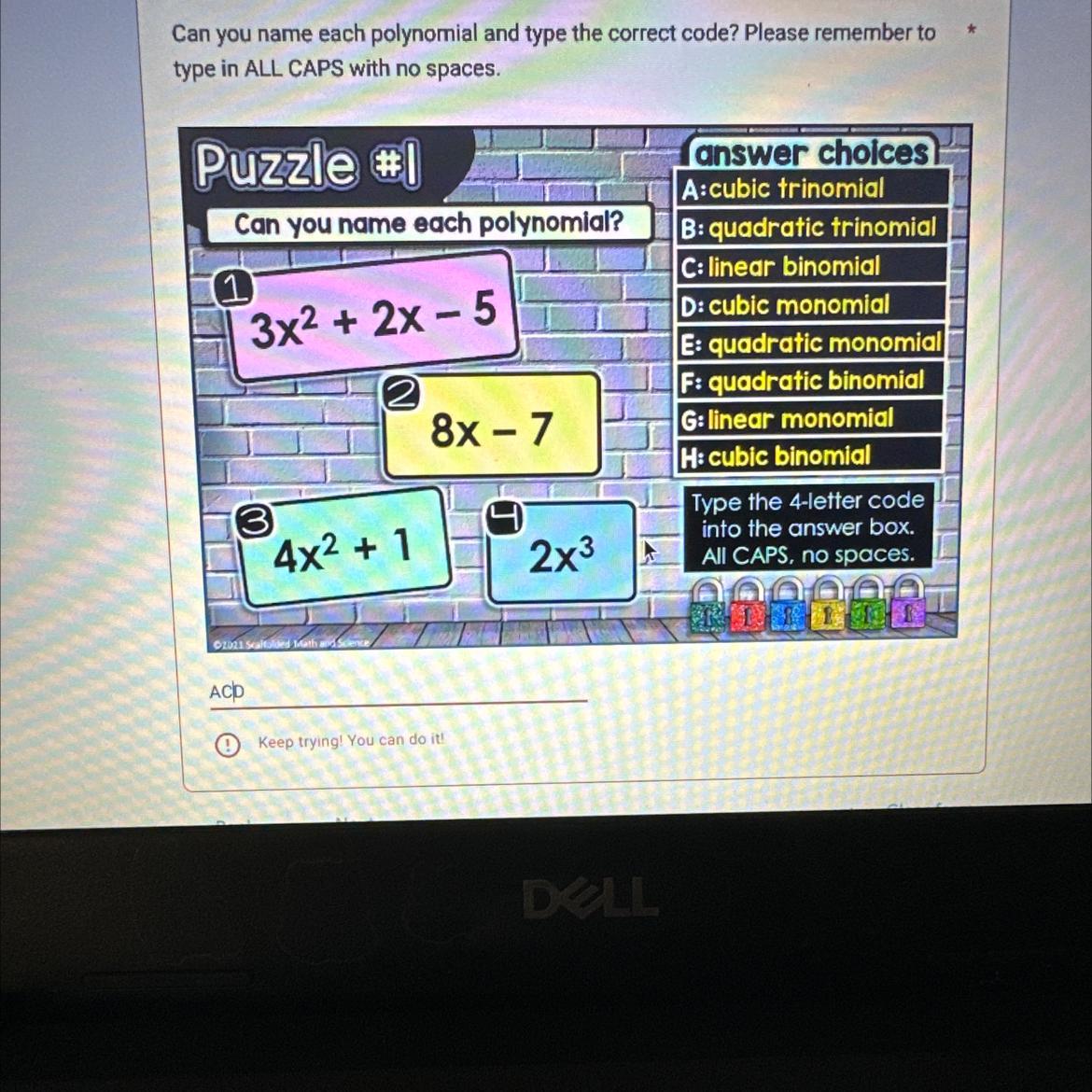 Name The Polynomials Pls 