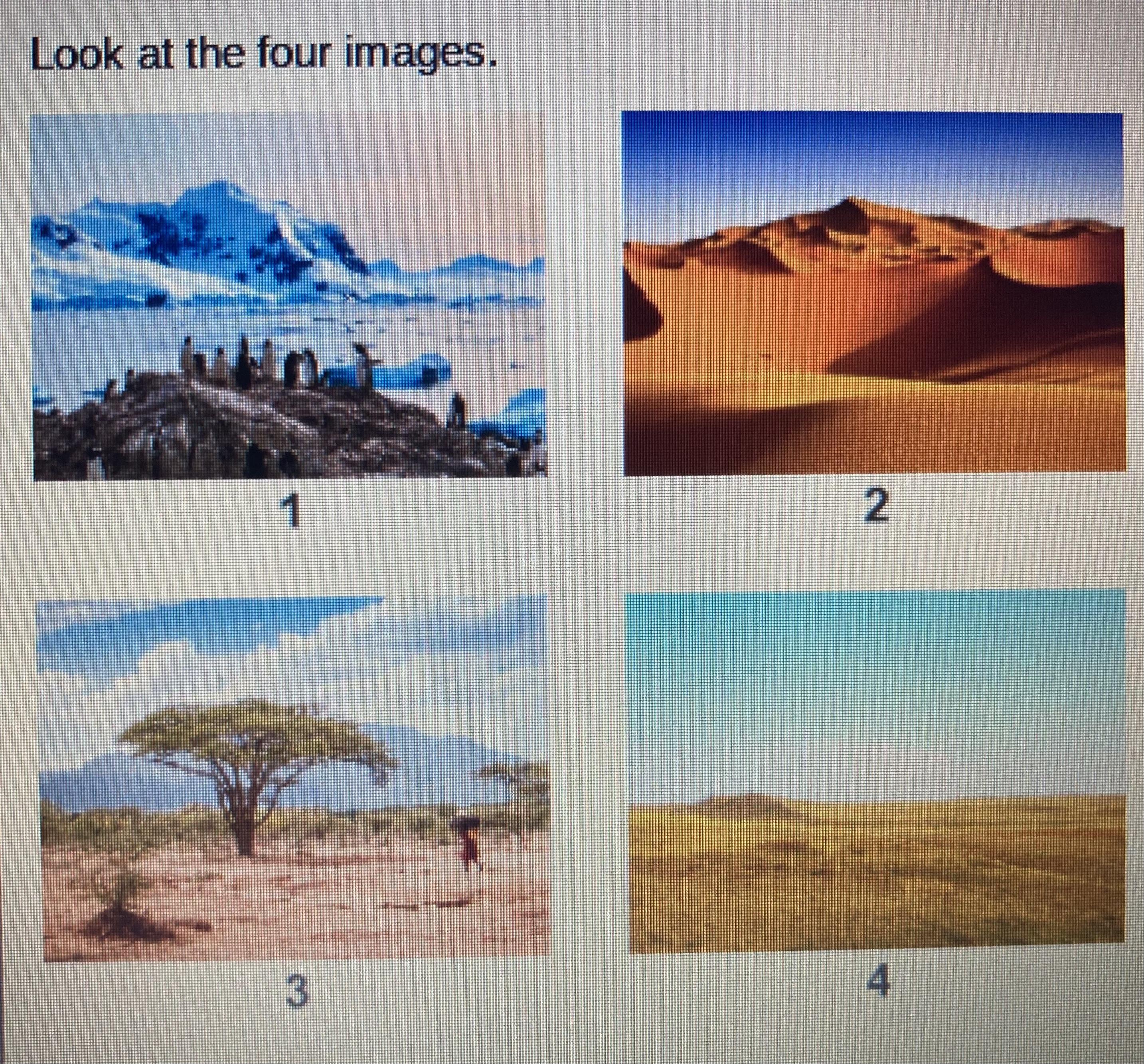 Look At The Four Images.Which Image Represents A Tropical Rainy Climate?1234