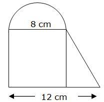 What Is The Area Of The Figure In Square Centimeters?Sandra Used A Square, A Semicircle, And A Right