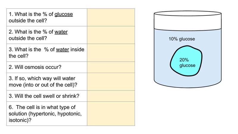 Pls Help!!! Osmosis Help Needed!!