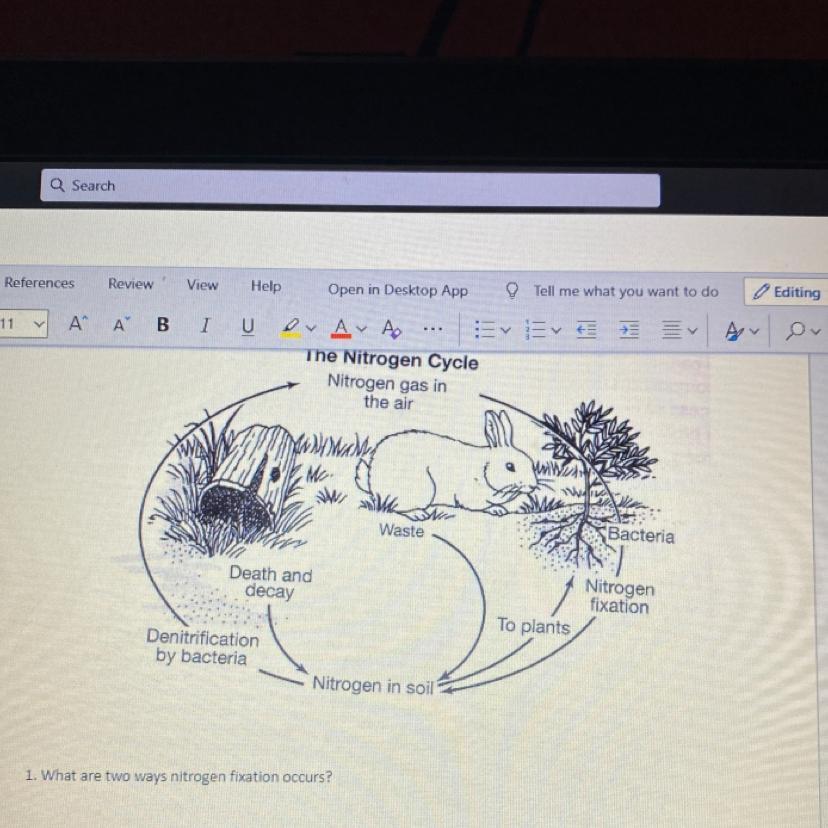 What Are Two Ways Nitrogen Fixation Occurs 