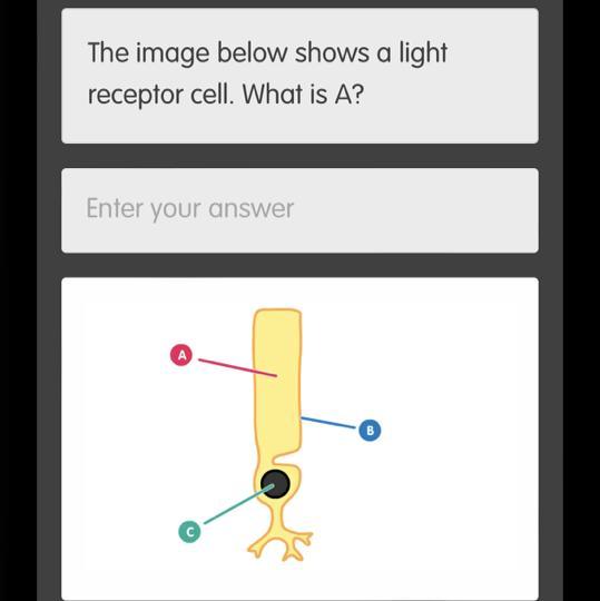 The Image Below Shows A Lightreceptor Cell. What Is A?Enter Your AnswerAB