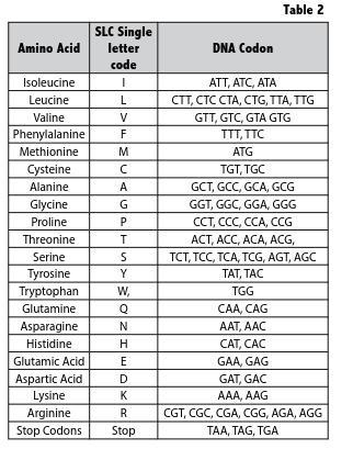 2.4.3 Lab Mutations AssignmentFilling Out The Table Shown.