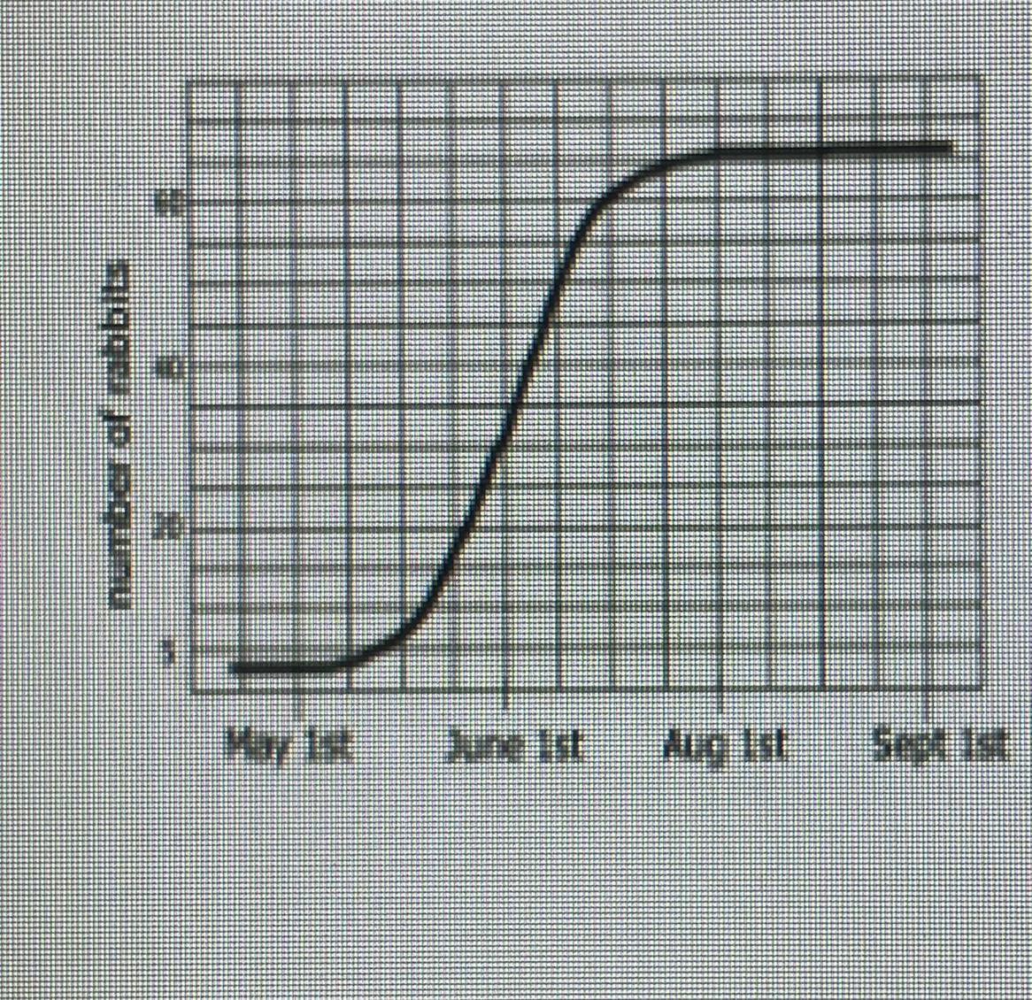 How Would You Describe The Growth Of This Rabbit Population?