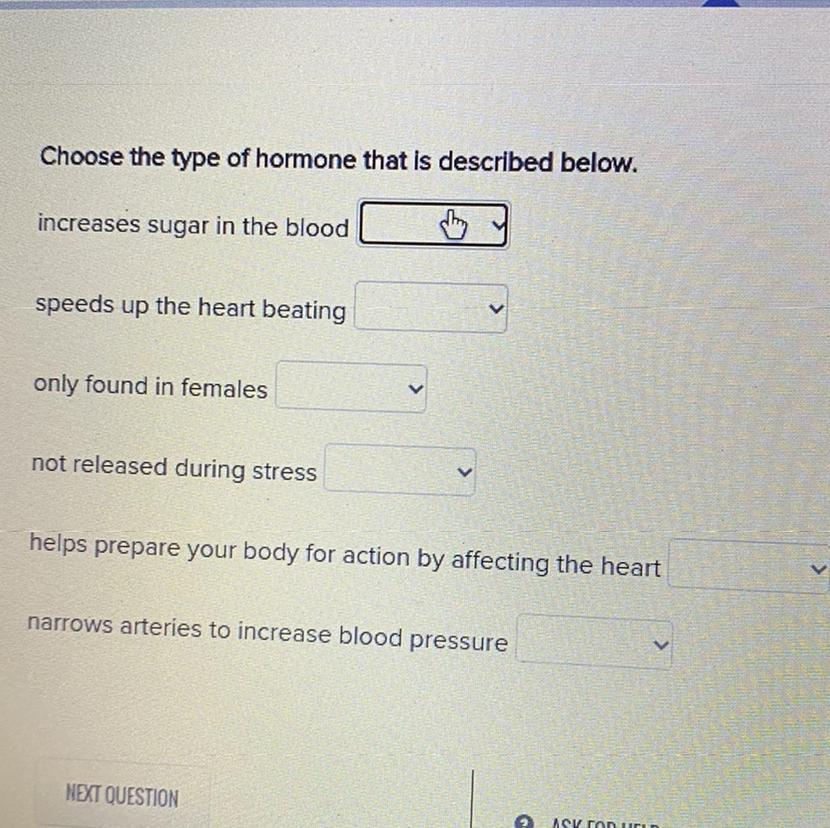 Choose The Type Of Hormone That Is Described Below.increases Sugar In The Bloodspeeds Up The Heart Beatingonly