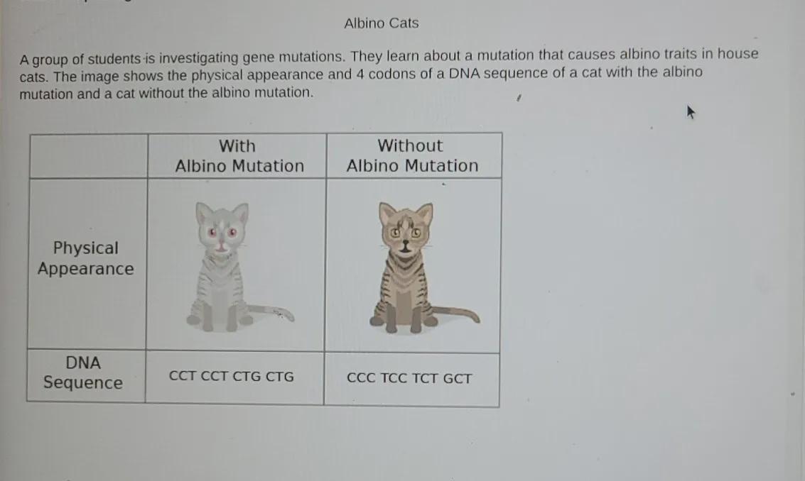 Question: What Is The MRNA Sequence Of The Albino Cat? What Mutation Gave The Albino Appearance? 