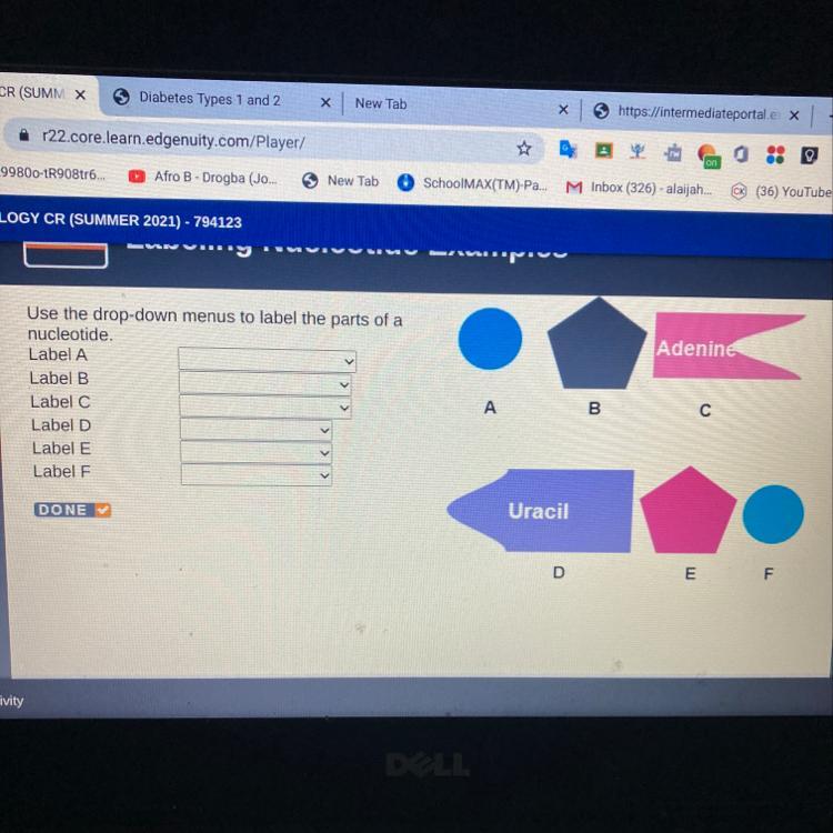 Use The Drop-down Menus To Label The Parts Of Anucleotide.Label A