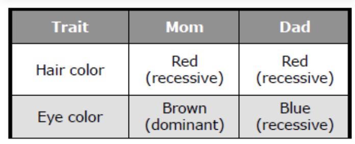 The Table Lists Traits And Whether They Arerecessive Or Not For Two Parents. Based On Thedata Table,