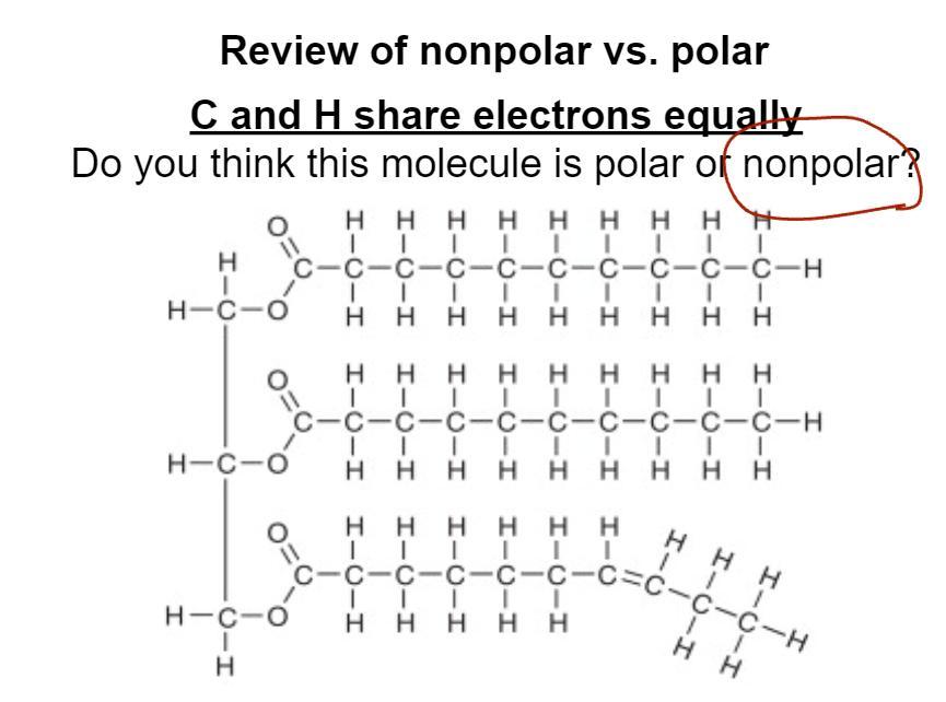 Why Is This Molecule Nonpolar?