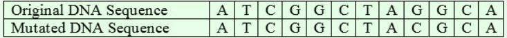 What Type Of Mutation Has Occurred In The Following Example?A.) Deletion MutationB.) Insertion MutationC.)