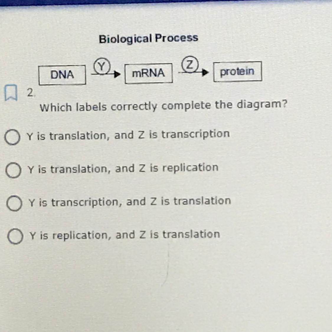 Which Labels Correctly Complete The Diagram 