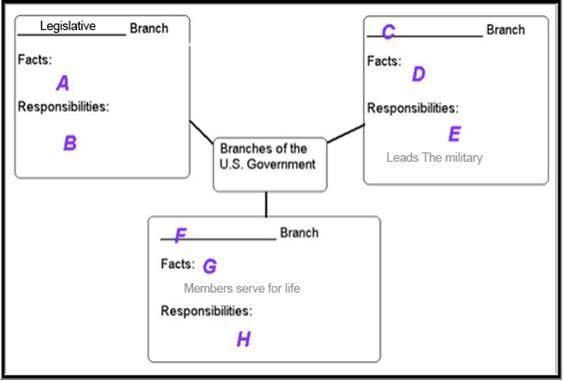 Study The Image Above. Which Of The Following Would You Place In The Section Labeled A?