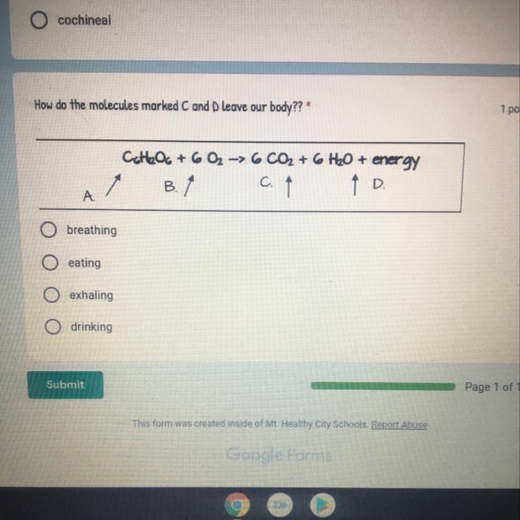 How Does The Molecule Marked C And D Leave Our Body 