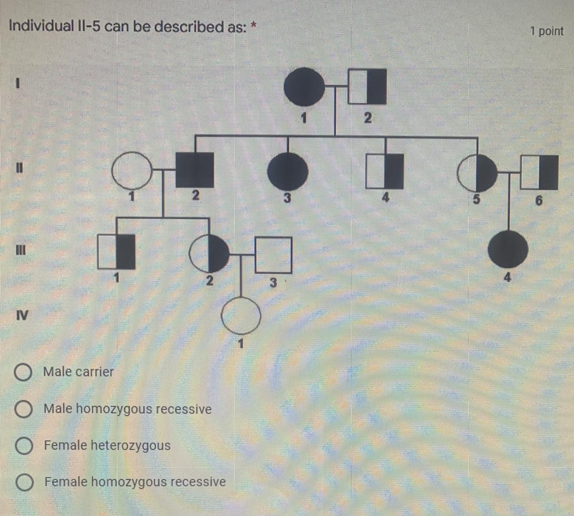 Individual II-5 Can Be Described As:a) Male Carrierb) Male Homozygous Recessivec) Female Heterozygousd)