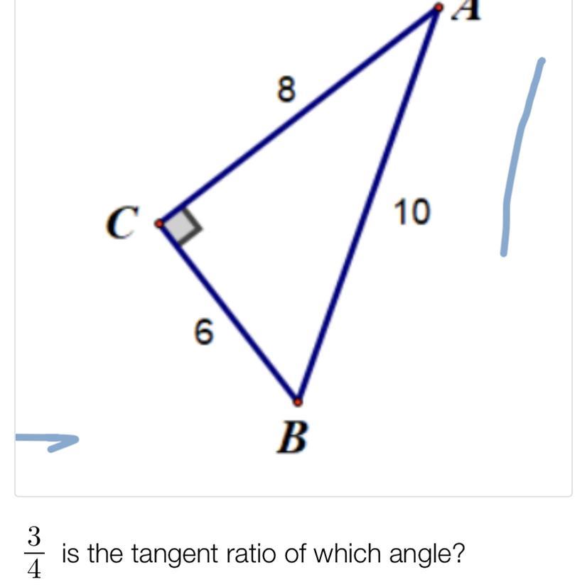 HELP ASAPI HAVE NO IDEA WHAT TO DO HERE