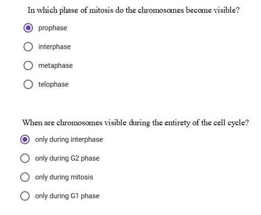 HELP Pls Will Mark You The Brainliest