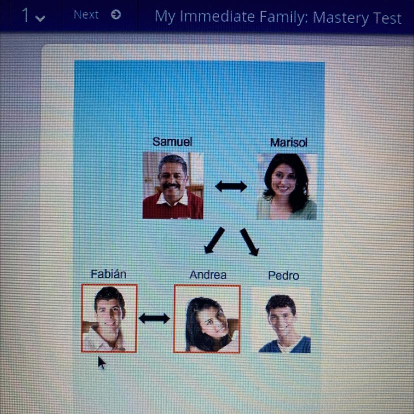 Look At The Family Tree. Choose The Correct Relationship Between Fabin And Andrea.O A.abuelosB.nietos