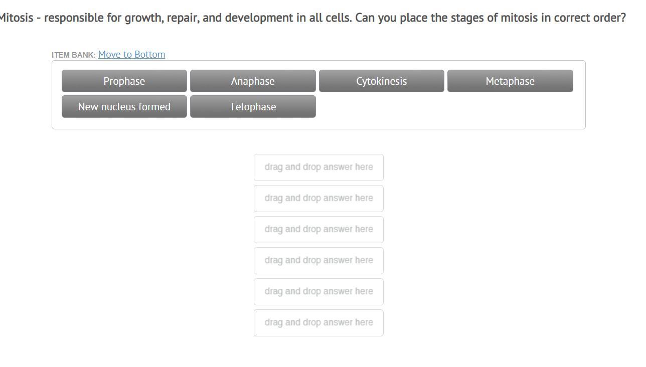 Stages Of Mitosis In Order