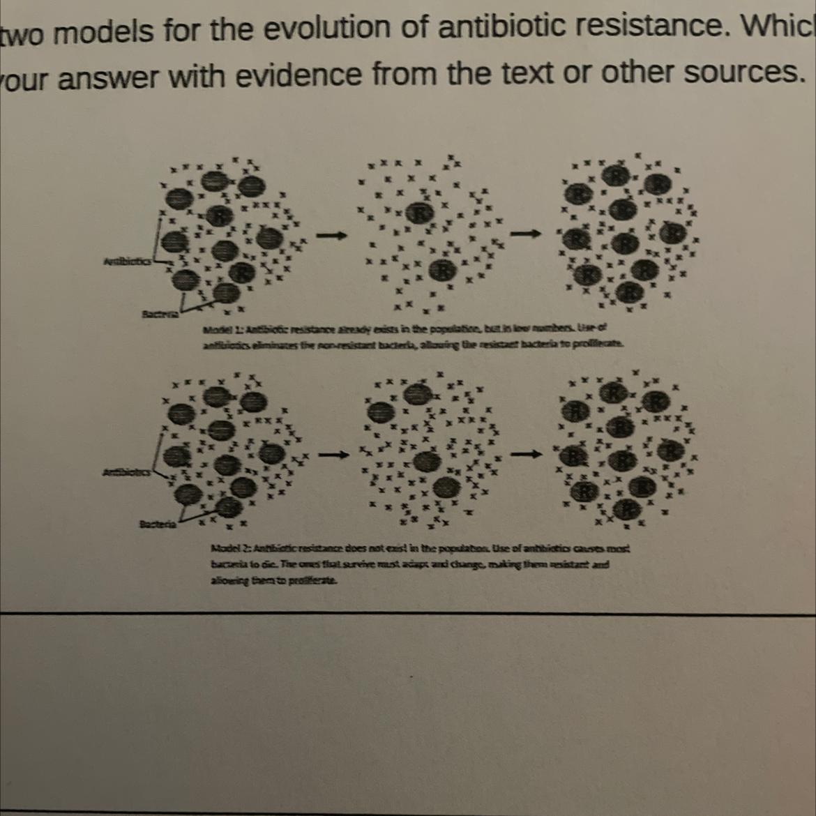 5. Presented Below Are Two Models For The Evolution Of Antibiotic Resistance. Which Model Do You Think