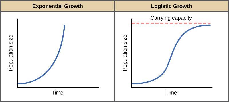 Analyze The Graphs Below. Which Growth Model Would Apply To A Population Of Squirrels Arriving On A New