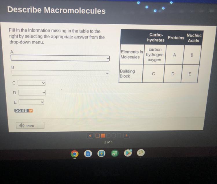 Help With My Biology Please