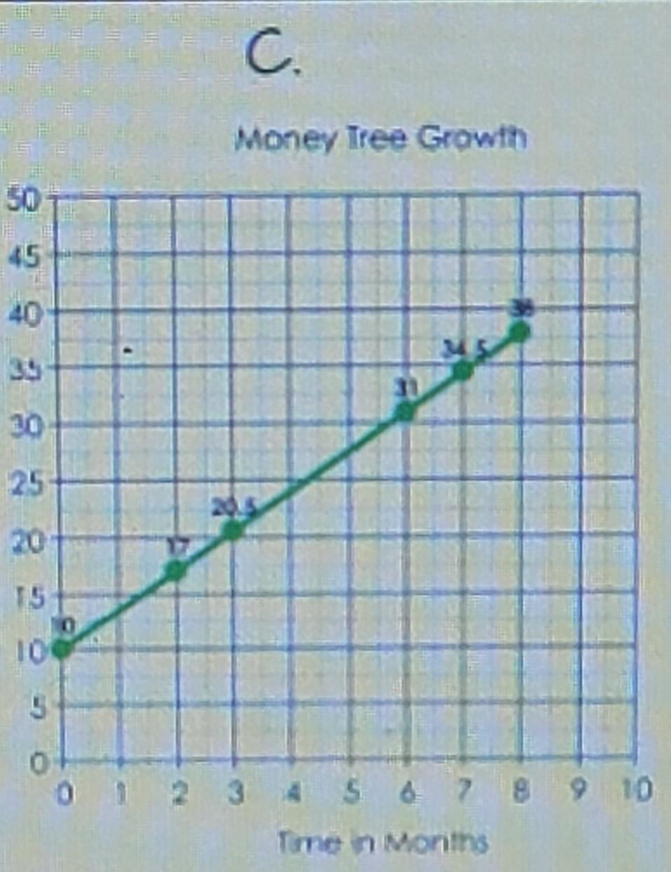 A= The First Tree Was Five Inches Tall When Planted.It Has Grown Four Inches Every Month Since Being