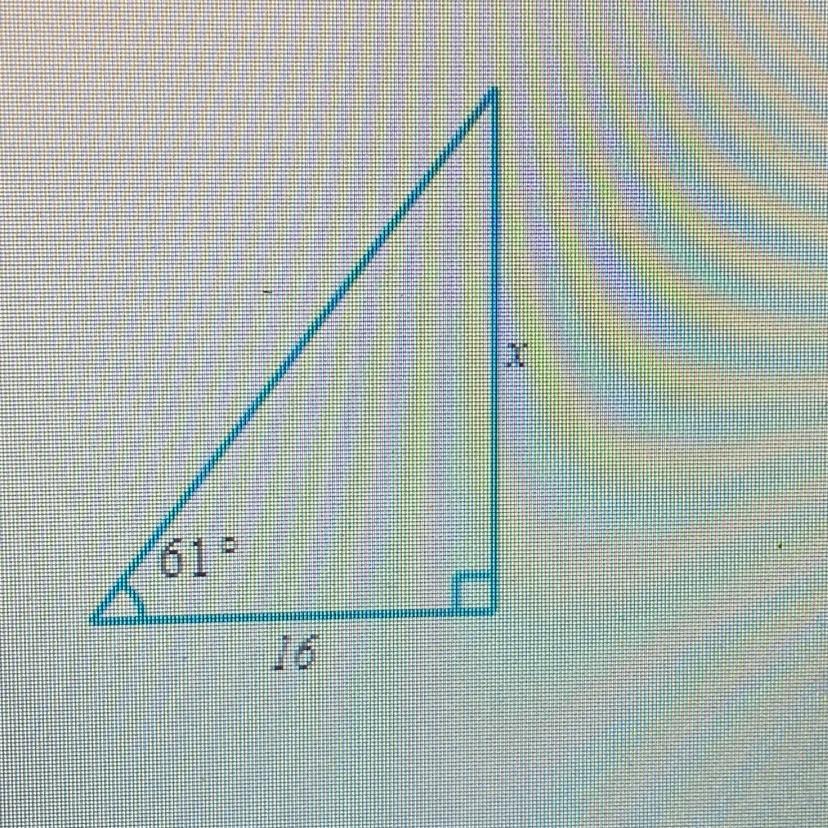 Solve For X In The Triangle. Round Your Answer To The Nearest Tenth.